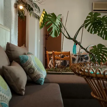 Paradise View Appartement